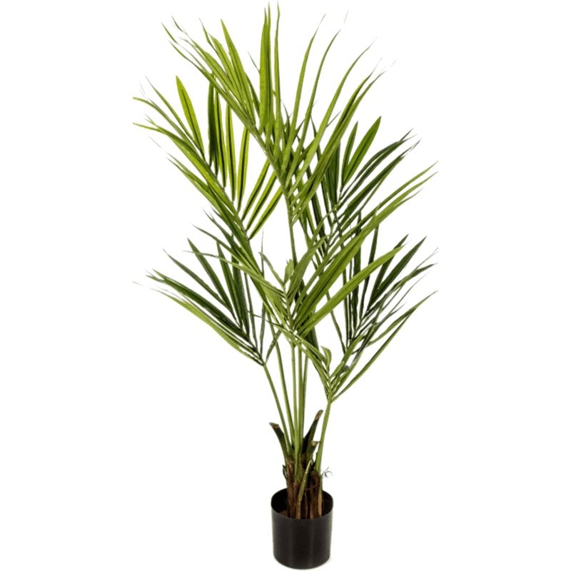 Umělé květiny - Umělá Kentia 140cm
