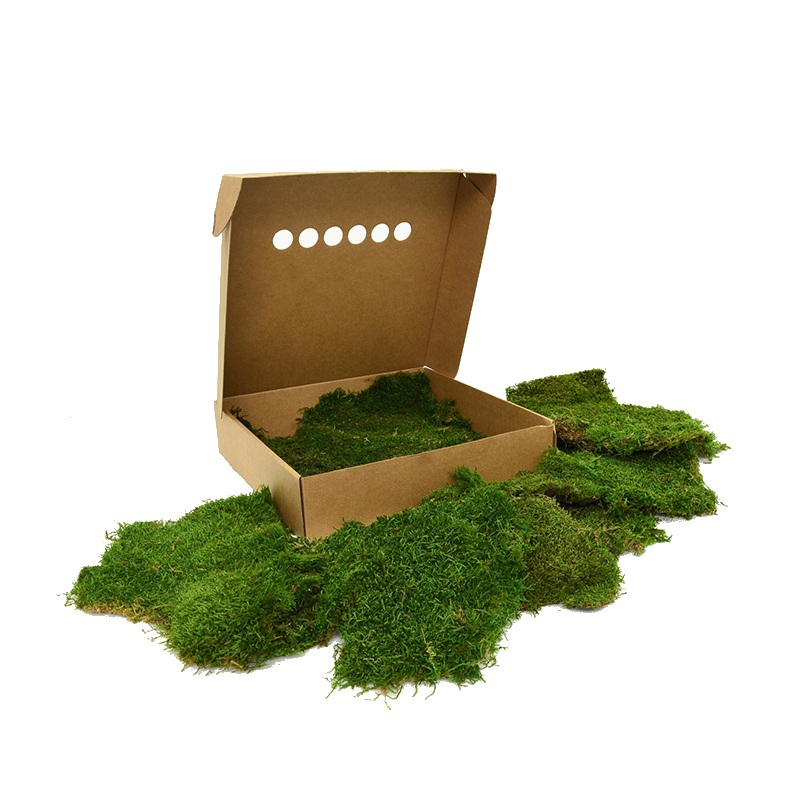 Zelené stěny - Stabilizovaný mech Forest Moss Window Box 0,5 m2