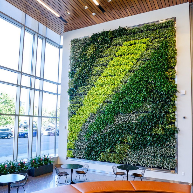 Zelené stěny - Zelená stěna s automatickou závlahou na zakázku od 10 m2