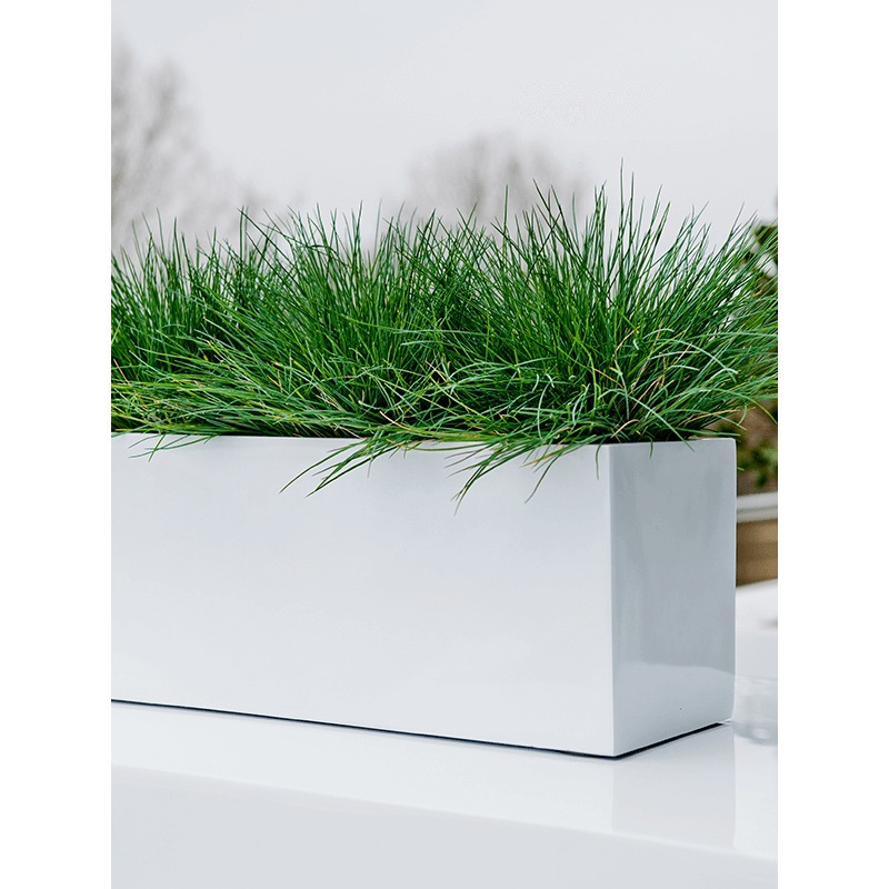 Venkovní květináče - Fiberstone truhlík White lesklý 50x20x20cm