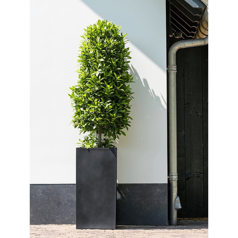 Venkovní květináče - Fiberstone Bouvy Black matný 30x30x60cm