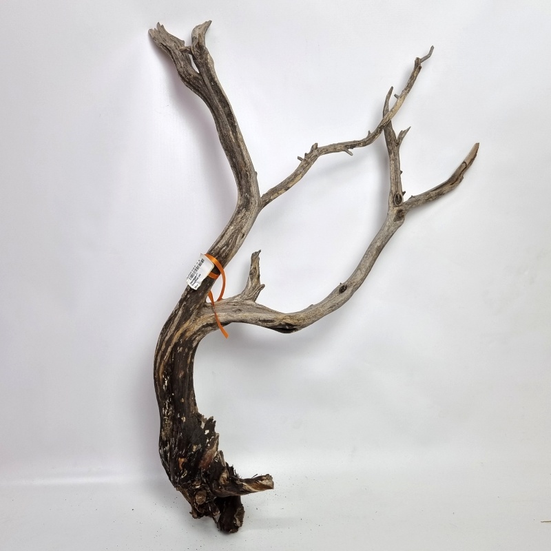 Dekorace - Dekorativní dřevěná větev Raw 75cm-OB