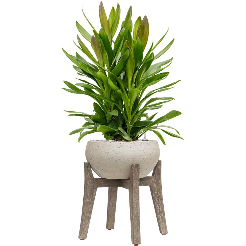 Luxusní květináče - Retro květináč Cibey S Beige 40x42cm