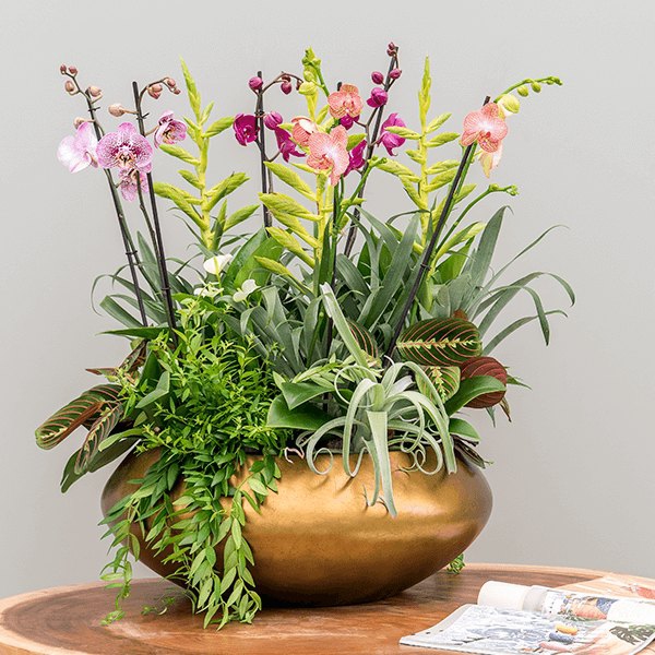 Luxusní květináče - Metallic mísa ufo honey 40x15cm