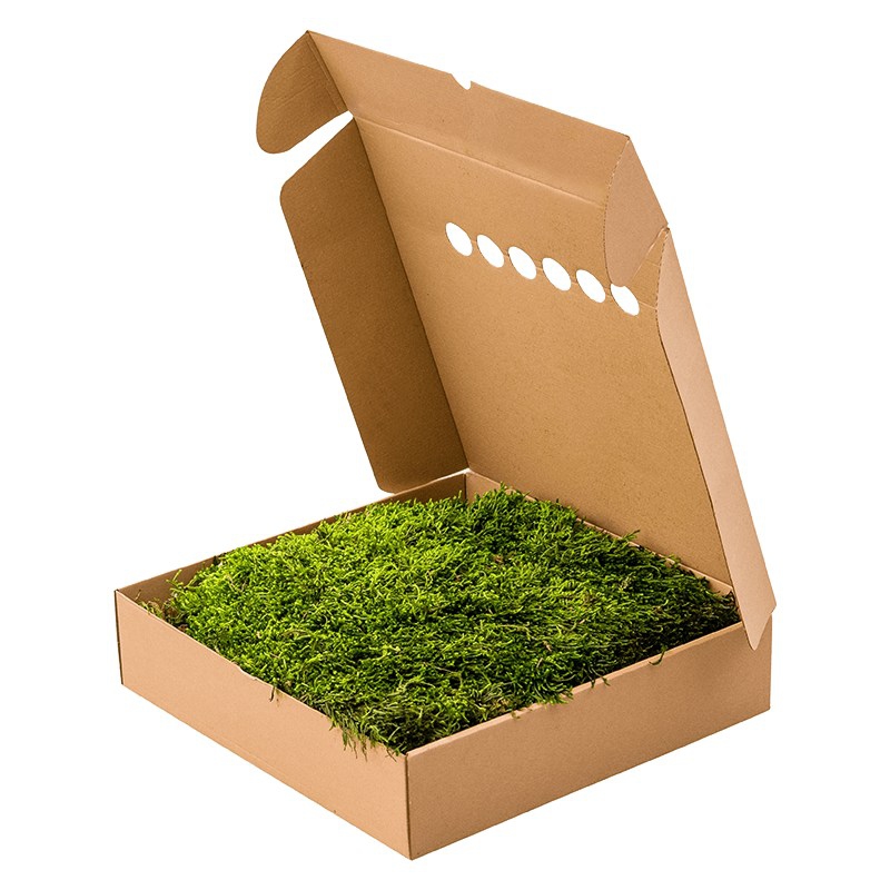 Zelené stěny - Stabilizovaný mech Forest Long Moss Box 60x60 cm