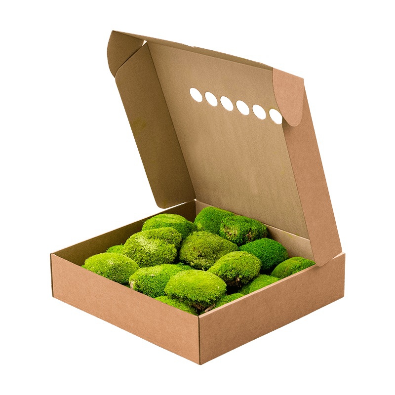 Zelené stěny - Stabilizovaný mech Ball Moss Light Green Box 40x40 cm