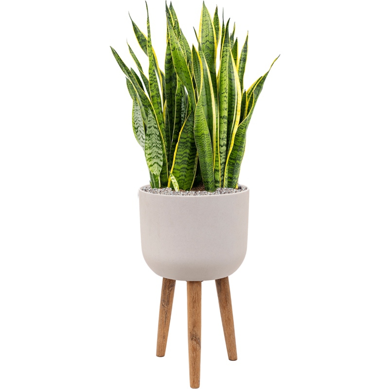 Luxusní květináče - Retro květináč natural white 40x74cm