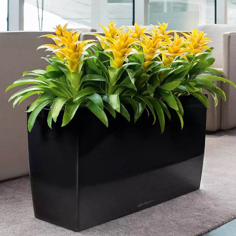 Lechuza květináče - Lechuza Cararo Black komplet