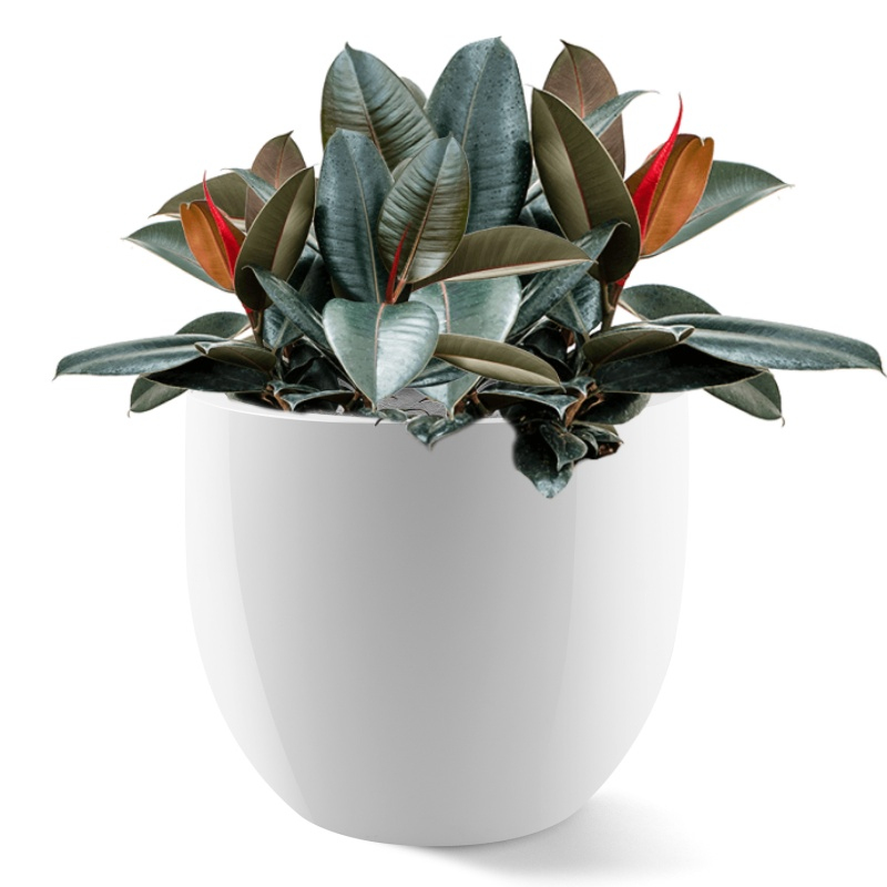 Venkovní květináče - D-lite Classic L bílý lesk 55x46cm