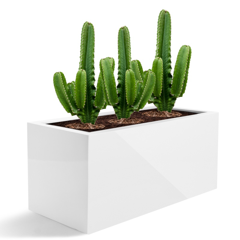 Venkovní květináče - D-lite truhlík bílý lesk 90x40x40cm