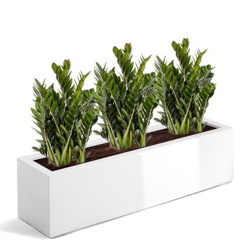 Venkovní květináče - D-lite truhlík bílý lesk 100x30x30cm