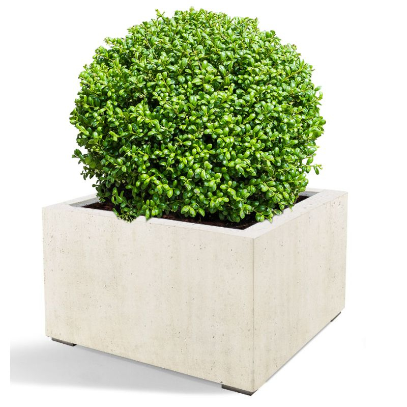 Venkovní květináče - D-lite Low Cube S Concrete 60x60x40cm