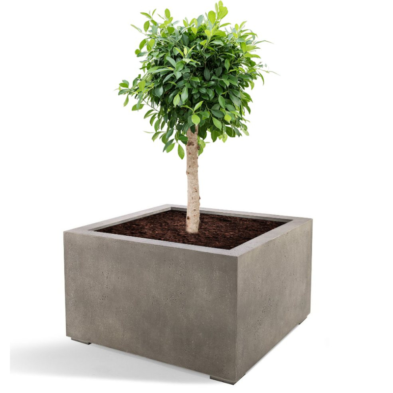 Venkovní květináče - D-lite Cube Low M Natural Concrete 80x80x60cm