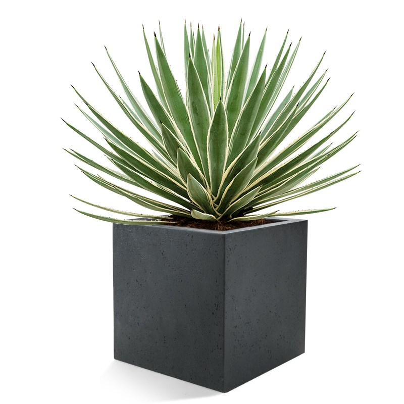 Venkovní květináče - D-lite Cube XL Antracit 60x60x60cm