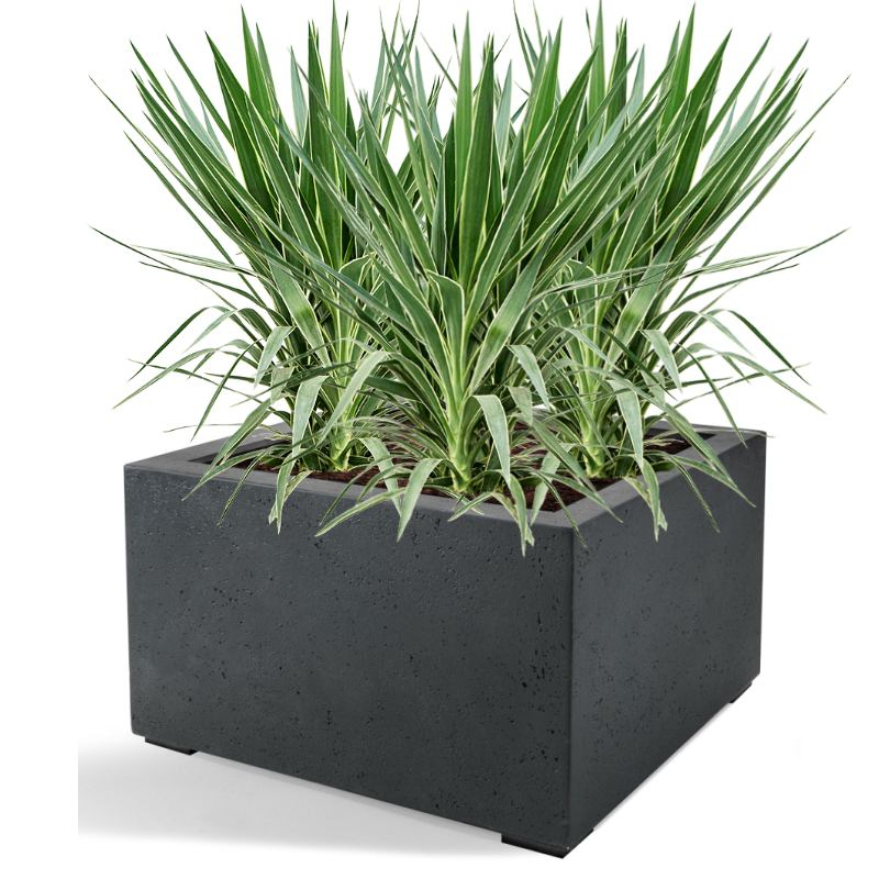 Venkovní květináče - D-lite Low Cube S Antracit 60x60x40cm