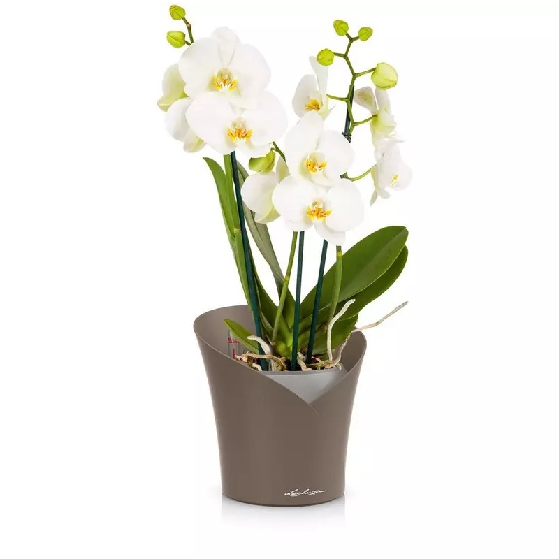 Lechuza květináče - Lechuza Orchidea Taupe mat komplet