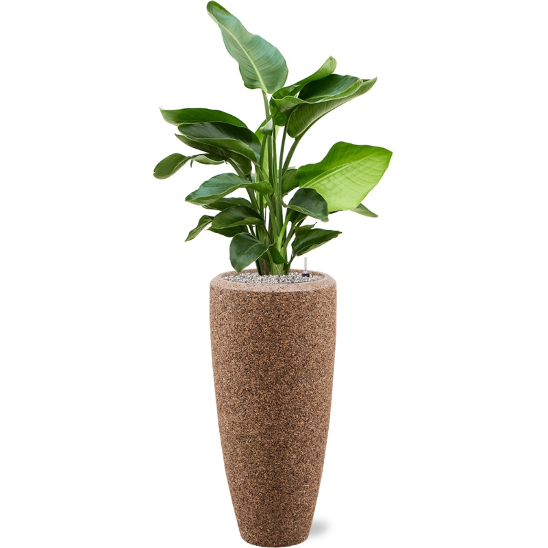 Luxusní květináče - Eco Wood partner premium 37x90cm