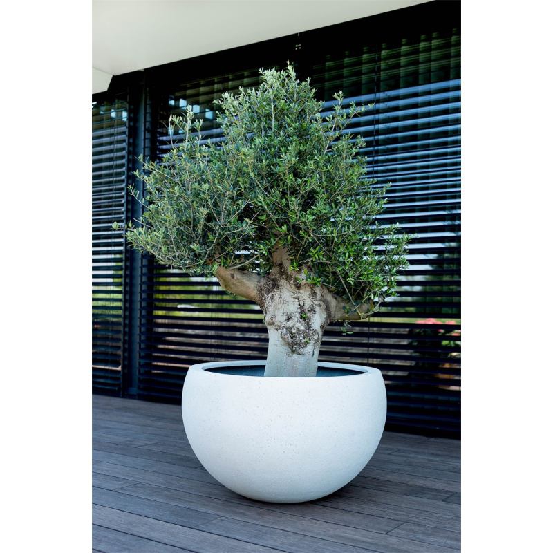 Venkovní květináče - D-lite mísa Elena concrete 120x75cm