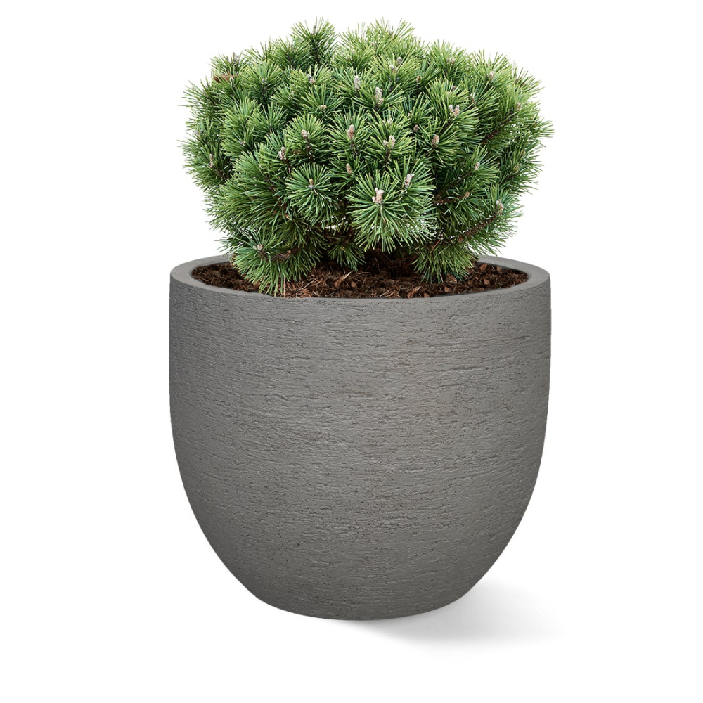Venkovní květináče - Gama New Classic Grey 36x31cm