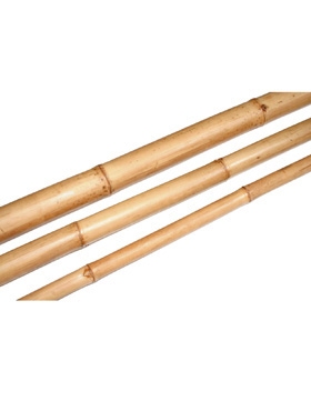 Dekorace - Dekorativní Bamboo 6-8cm Natural 210cm