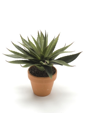 Umělé květiny - Agave spiky 24x22cm