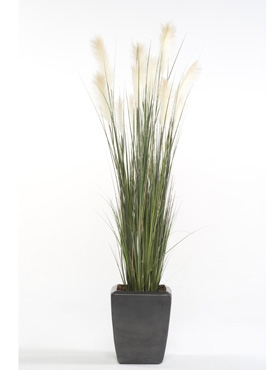 Umělé květiny - Pampas Grass 150cm