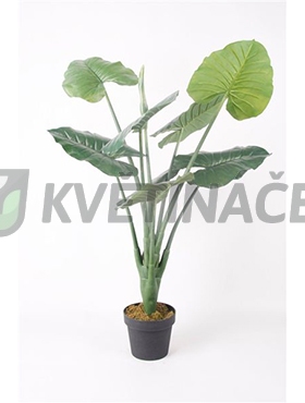 Umělé květiny - Alocasia 90cm