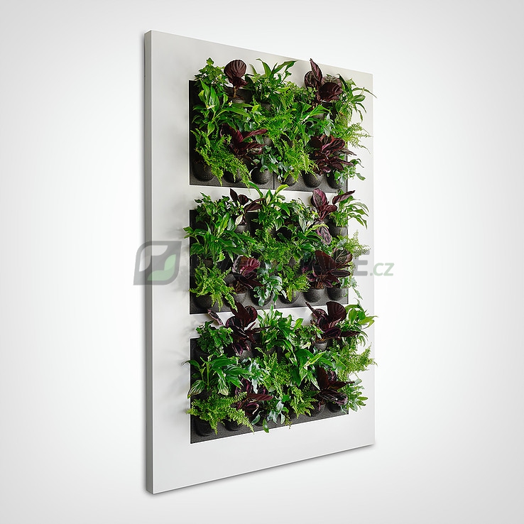 Zelené stěny - Živý obraz silver XL 112x170cm