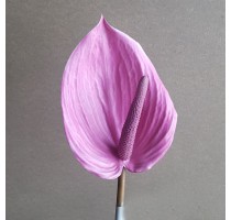 Umělý růžový květ Anthurium 85cm