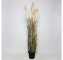 Umělá tráva Pampas 120cm