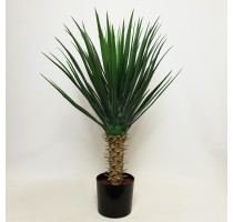 Umělá Yucca Rostrata 75cm