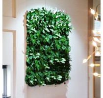 Živá zelená stěna základní set 75x82cm