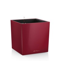 Lechuza Cube Premium 30 Scarlet komplet