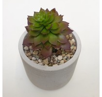 Umělá Echeveria zelené 10cm