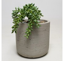 Umělý sukulent Sedum zelený 17cm