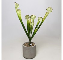 Umělá Sarracenia světle zelená 45cm