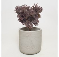 Umělý dusty miller vínový 18cm