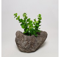 Umělý sukulent 20cm