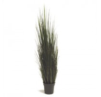 River Grass Green 120cm