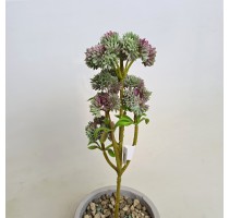 Umělý sukulent Sedum zeleno-šedý 34cm