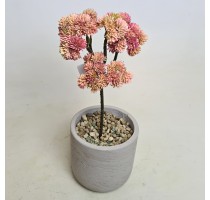 Umělý sukulent Sedum oranžový 30cm