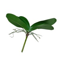 Umělé listy orchidejí 30cm