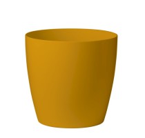 Classico RAL 1006 lesk/mat 20x17cm