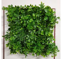 Umělá zelená stěna Schefflera 50x50cm