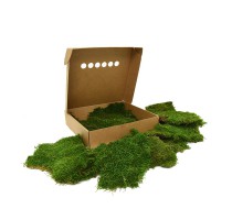 Stabilizovaný mech Forest Moss Box 70x70 cm