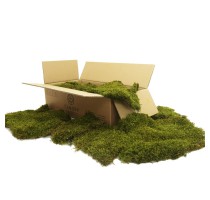 Stabilizovaný mech Forest Long Moss Box 1,5 m2