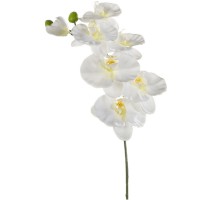 Umělá Orchidej bílá 80cm