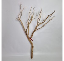 Manzanita natural 90cm-DA
