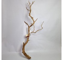 Manzanita natural 90cm-DE