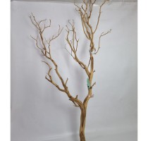 Manzanita natural 120cm-KB